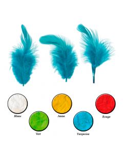 Plumes de Couleur 8-12cm 3g Artemio