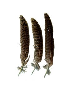 Plumes Naturelles 14cm x24 Artemio