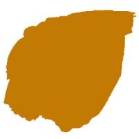 Peinture à la Caséine Terre de Sienne Naturelle