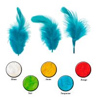 Plumes de Couleur 8-12cm 3g Artemio