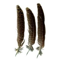 Plumes Naturelles 14cm x24 Artemio