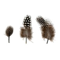 Plumes Naturelles 4-8cm 3g Artemio